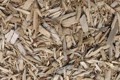 biomass boilers Nisbet